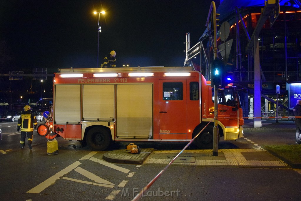 Baum auf PKWs Koeln Mitte Rheinuferstr Goldgasse P024.JPG - Miklos Laubert